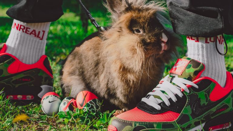 Velikonoce v barvě Duck Camo: Ta pravá vajíčka pro sneakerheady