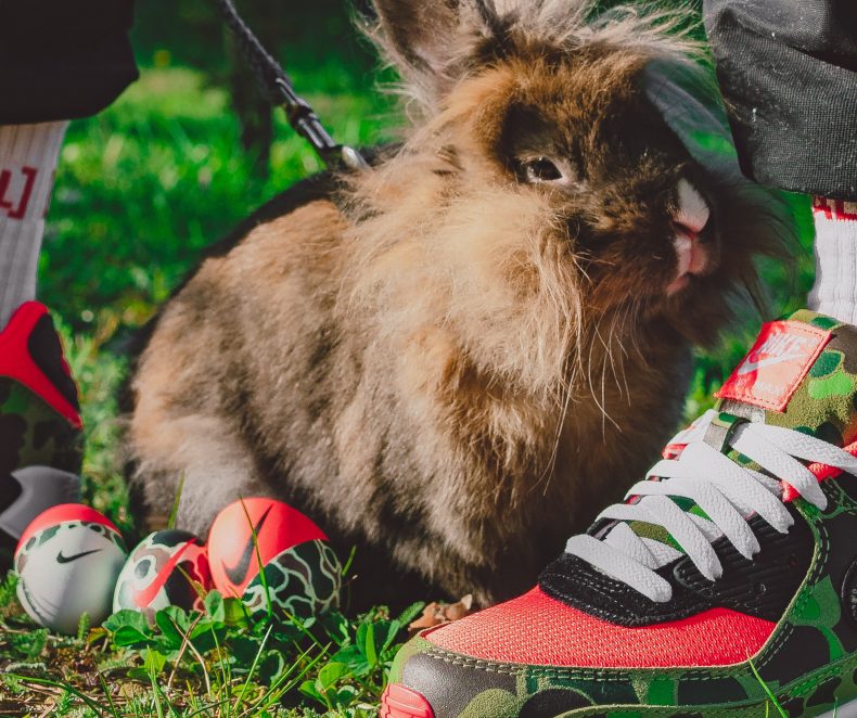 Velikonoce v barvě Duck Camo: Ta pravá vajíčka pro sneakerheady